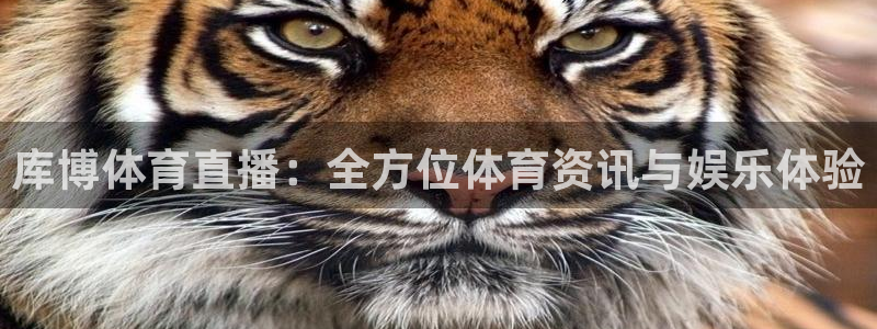 斗球直播官网入口：库博体育直播：全方位体育资讯与娱乐体验