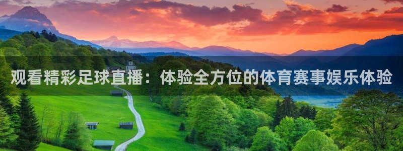 斗球直播app下载最新版：观看精彩足球直播：体验全方位的体育赛事娱乐体验