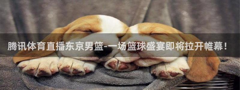 下载斗球直播app：腾讯体育直播东京男篮-一场篮球盛宴即将拉开帷幕！