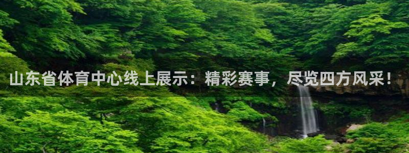 斗球直播官网：山东省体育中心线上展示：精彩赛事，尽览四方风采！