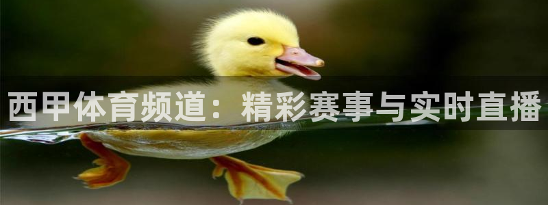 斗球直播在线观看：西甲体育频道：精彩赛事与实时直播