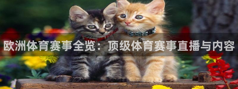 斗球足球直播：欧洲体育赛事全览：顶级体育赛事直播与内容