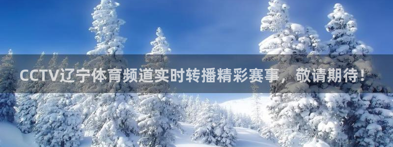 斗球体育直播app下载电脑版：CCTV辽宁体育频道实时转播精彩赛事，敬请期待！