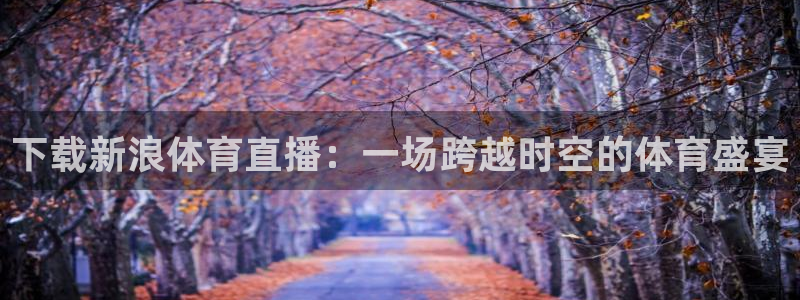 斗球直播app下载直播：下载新浪体育直播：一场跨越时空的体育盛宴