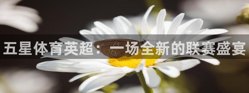 斗球直播体育在线观看：五星体育英超：一场全新的联赛盛宴